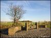 Windy Arbour Stocks